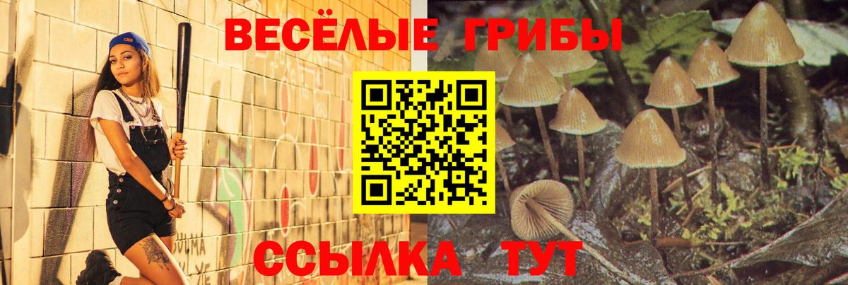 Псилоцибиновые грибы мухоморы  Псилоцибиновые грибы мухоморы  где купить наркоту  Вход с VPN  Саянск 