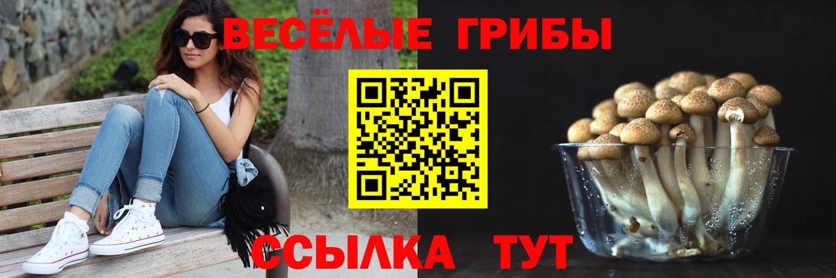 Галлюциногенные грибы мухоморы Саянск