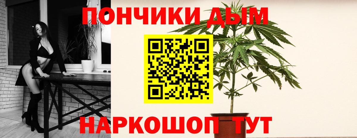 Шишки марихуана марихуана Саянск